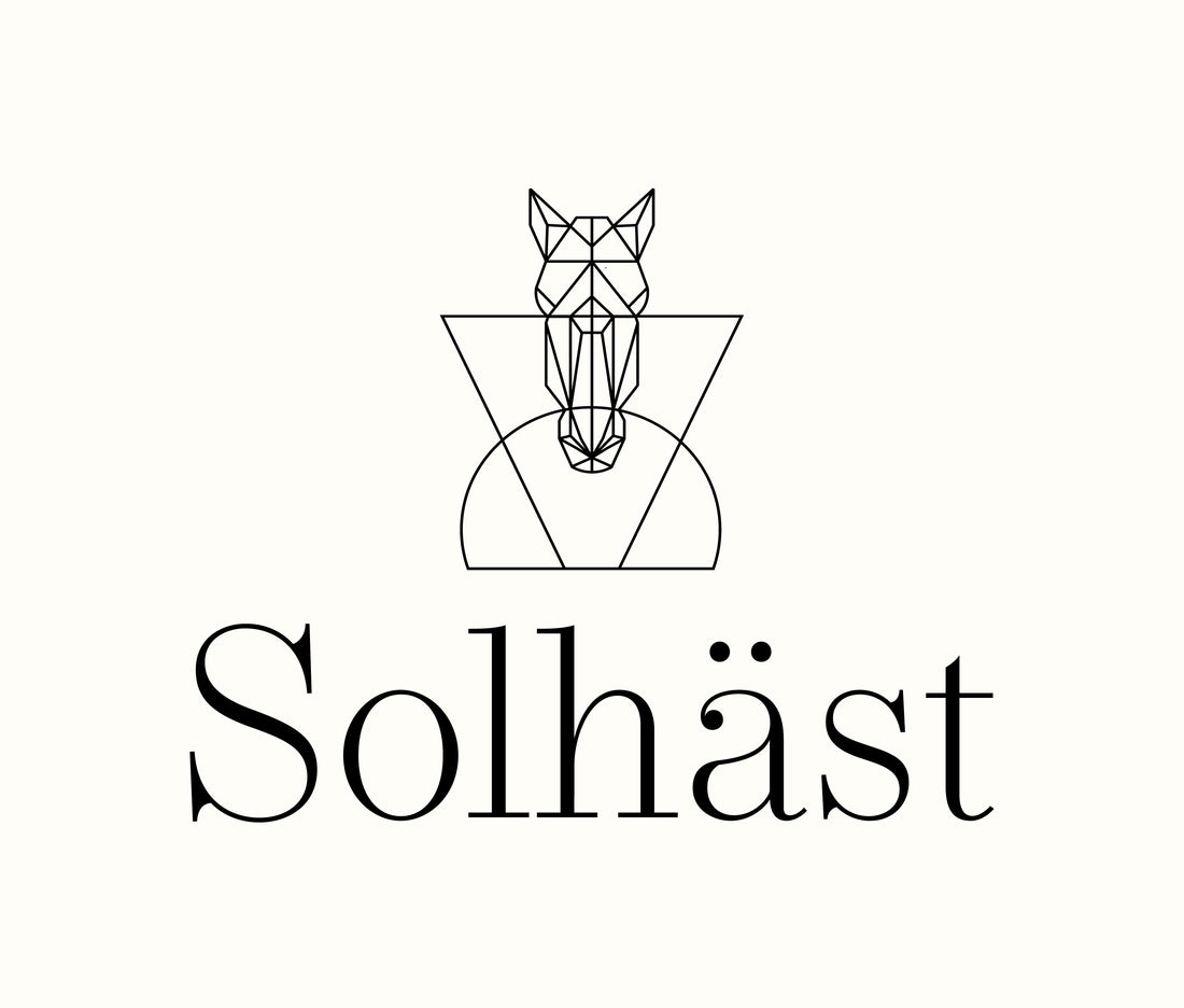 #ICYMI Solhäst Summer Slow Fashion Newsletter